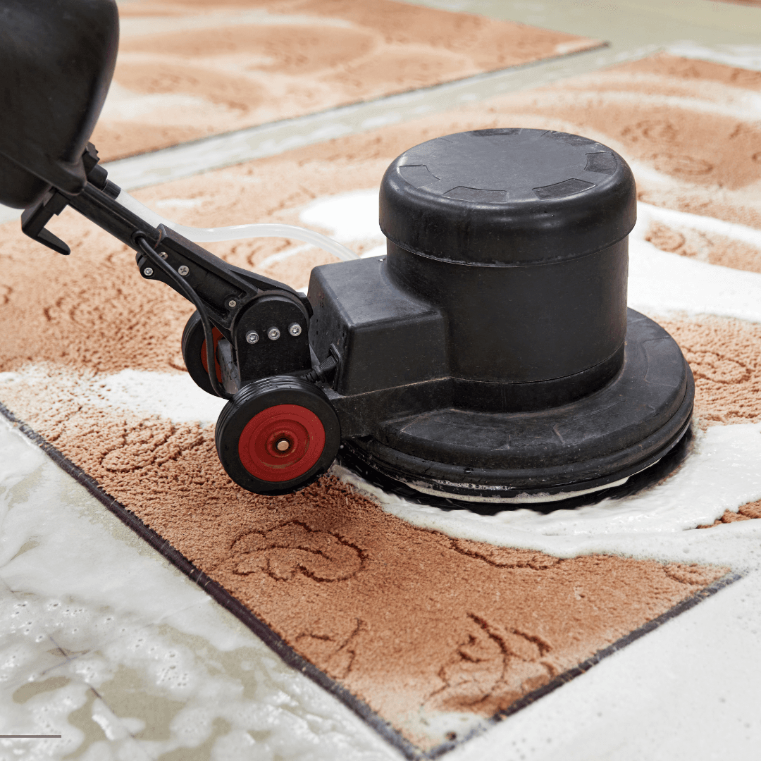home.services.carpet